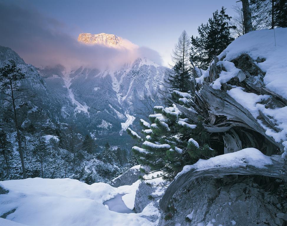 Gasthof Dorfwirt Ardning Экстерьер фото